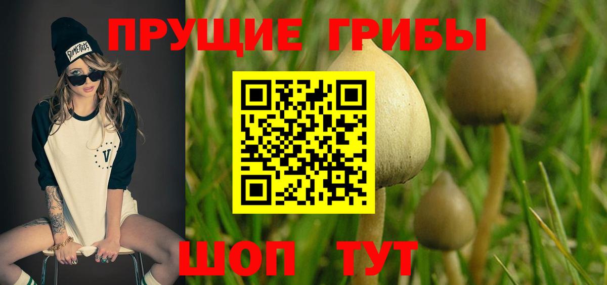 Псилоцибиновые грибы GOLDEN TEACHER  Вход с VPN  Галлюциногенные грибы MAGIC MUSHROOMS  Верхний Уфалей 